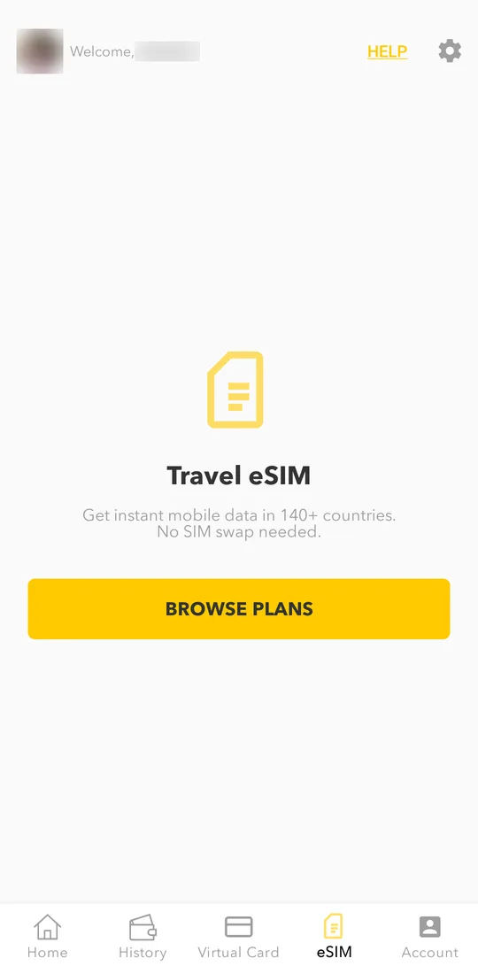 Open the eSIM tab and tap Browse Plans.