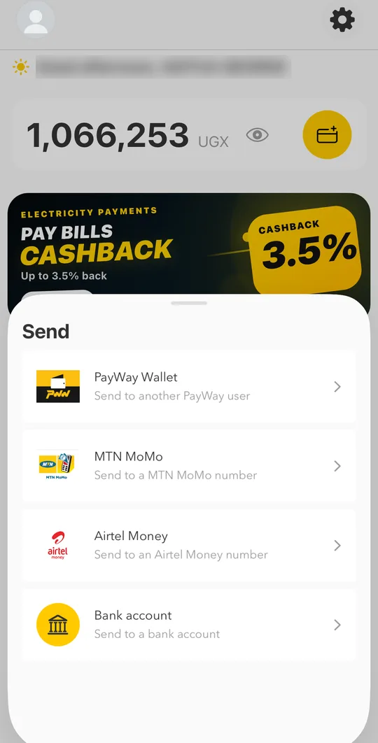 On the home screen, tap Send and choose PayWay Wallet.
