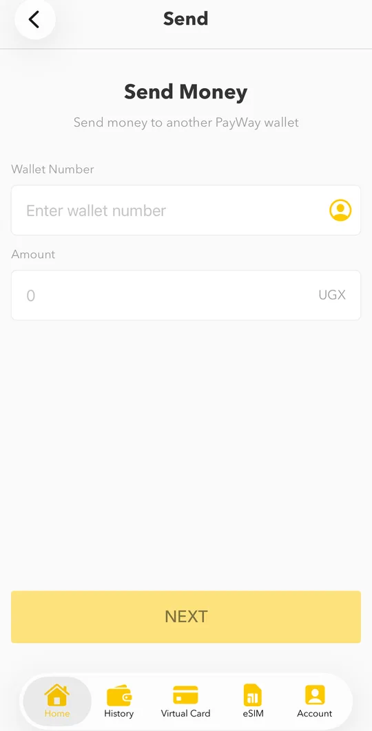 Enter the destination wallet number and the amount, then tap NEXT.