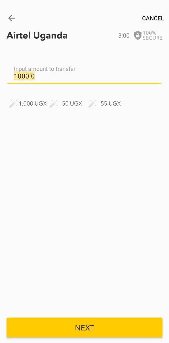 Enter the amount or tap a suggested one, then tap NEXT.