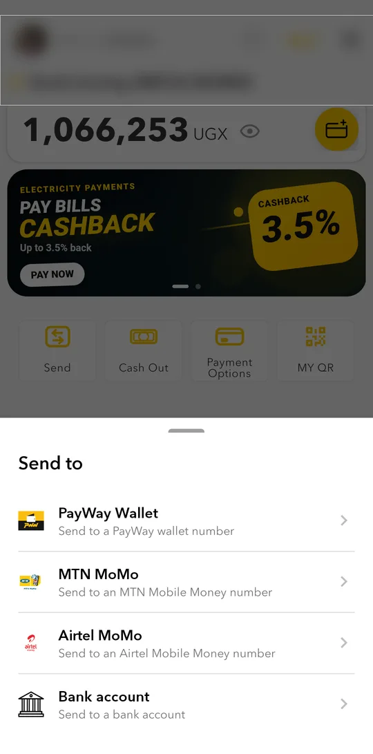 On the home screen, tap Send and choose PayWay Wallet.