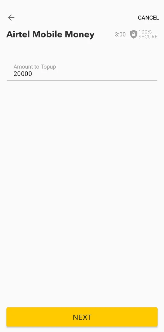Enter the amount, tap NEXT, check the details and confirm with your PIN or fingerprint.