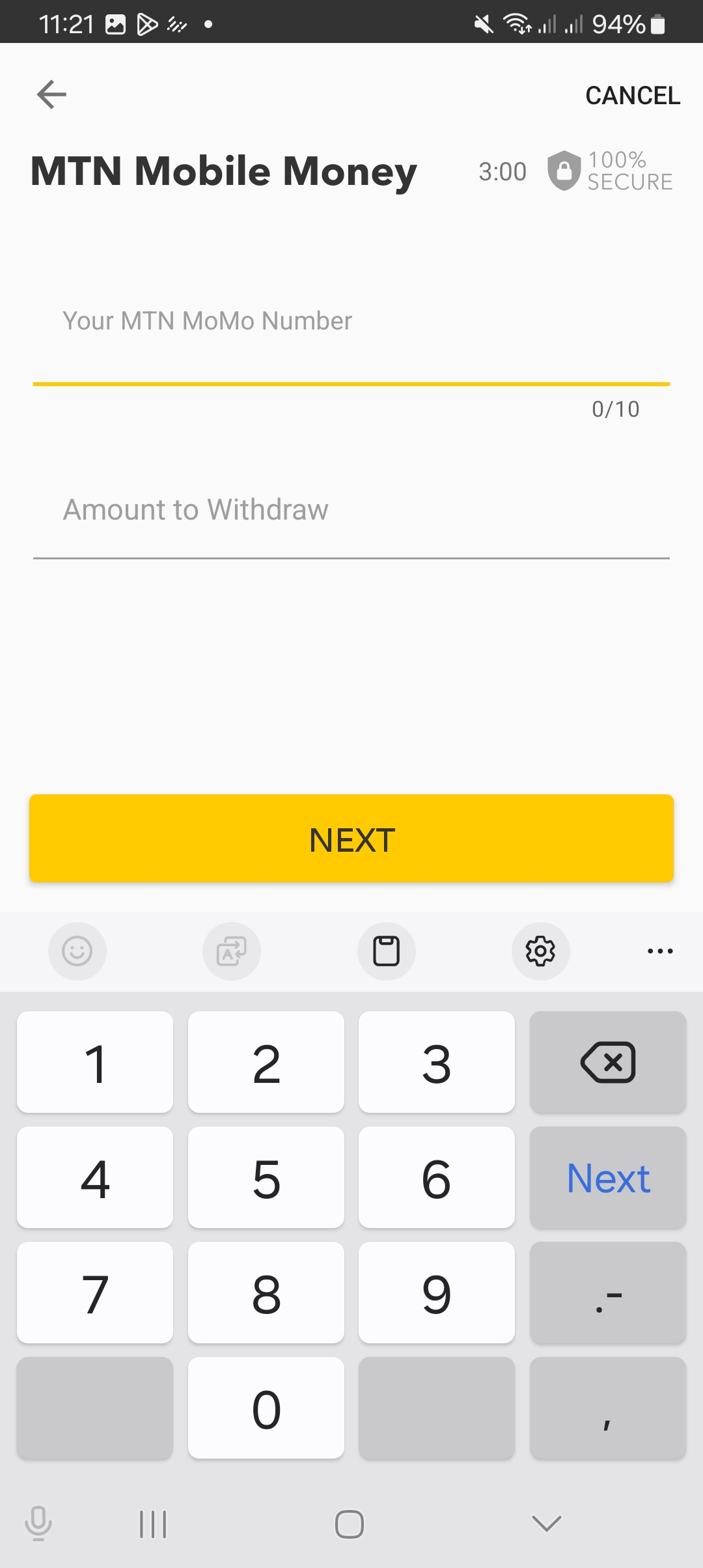 Input MTN Phone Number and Amount